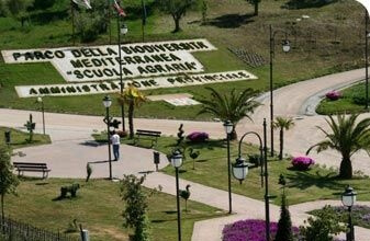 Navigare gratis nel Parco della Biodiversità Mediterranea di Catanzaro parco della biodiversita catanzaro