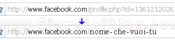 Facebook : Da oggi puoi scegliere un nome - username per personalizzare il tuo profilo facebook-username