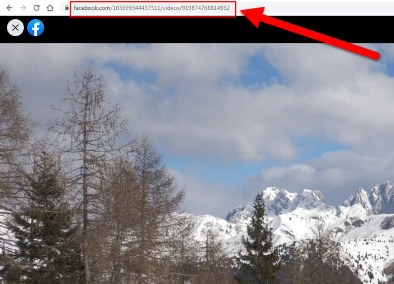 Scaricare video da Facebook online, da app e su PC GiardiniBlog
