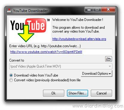 youtube downloader
