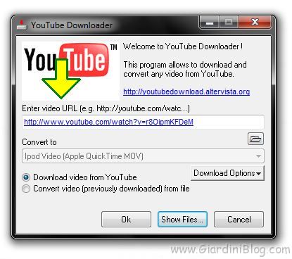 youtube downloader