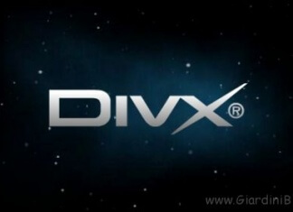 significato sigle divx