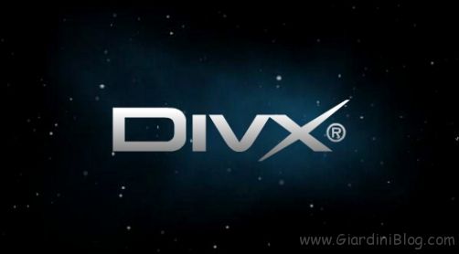 significato sigle divx