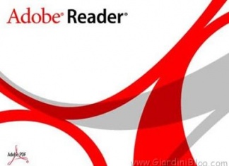 adobe reader X