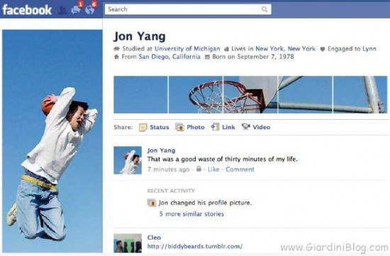 facebook profile example 2