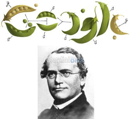 Gregor Mendel