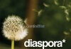 Inviti per Diaspora*, il social network open source e distribuito
