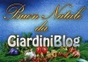 Buon Natale 2011