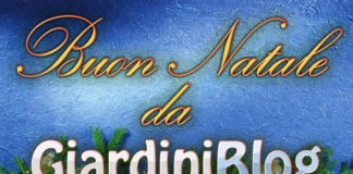 buon-natale-2011-da-giardiniblog