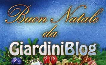 Buon Natale 2011