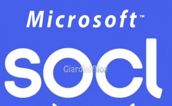 Microsoft Socl: la fusione tra social network e motore di ricerca