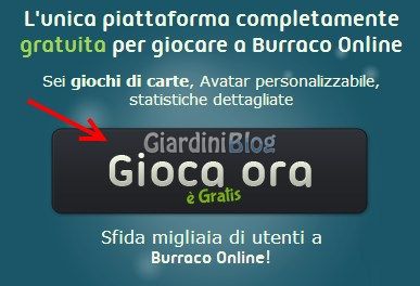 Gioca ora a Burraco Online