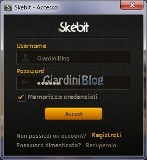 Login Skebit