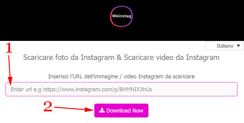 come scaricare post da instagram