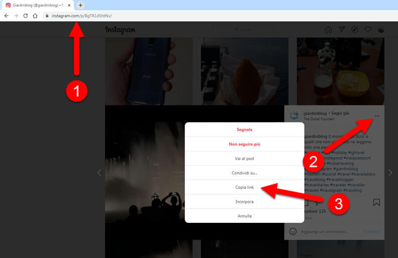 Copiare Link Video Instagram Pc