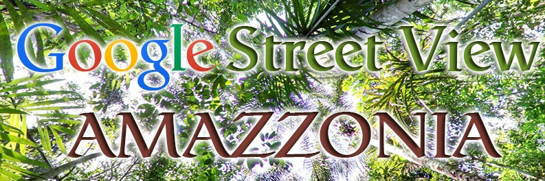 street view amazzonia