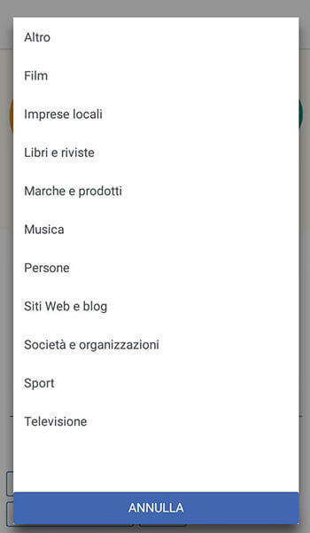 Tipo di categoria per la pagina facebook