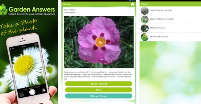 Garden Answers Plant Identifier