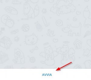 Avvia bot telegram