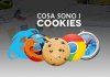 cosa sono i cookies