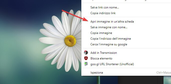 Apri immagine Google Chrome