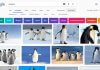 Google Immagini: i trucchi per sfruttarne le funzionalità
