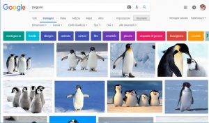 Google Immagini: i trucchi per sfruttarne le funzionalità