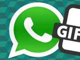 gif animate per whatsapp