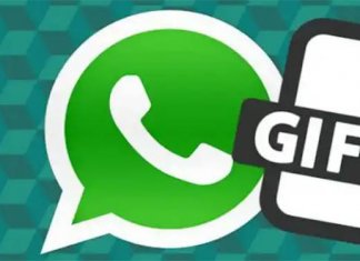 gif animate per whatsapp