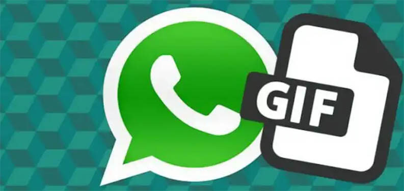 Whatsapp Arrivano Le Gif Animate