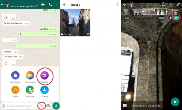 gif animate per whatsapp