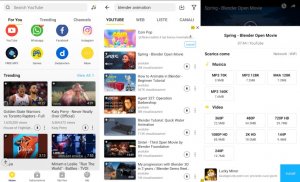 scarica video da youtube giardiniblog