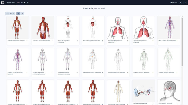 anatomia umana 3d