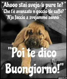 poi te lo dico buongiorno