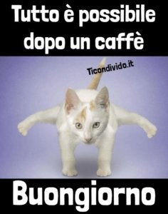 tutto possibile dopo caffè