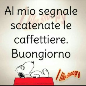 scatenate le caffettiere