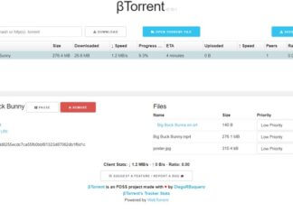 Scaricare file torrent senza programmi