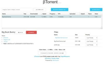 Scaricare file torrent senza programmi