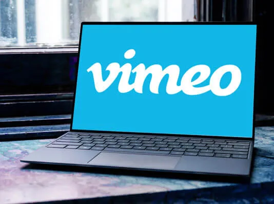 SCARICARE VIDEO DA VIMEO | GiardiniBlog