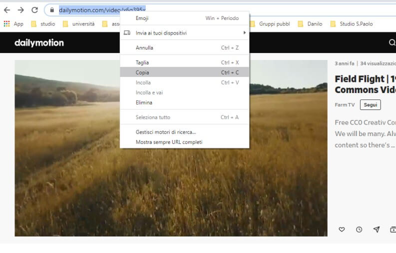 copiare link da dailymotion per scaricare video