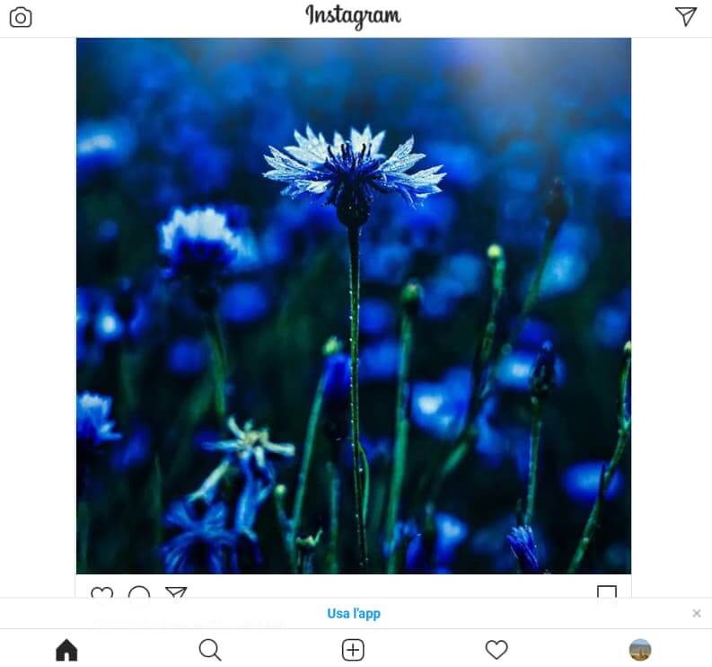 Instagram Web Come App