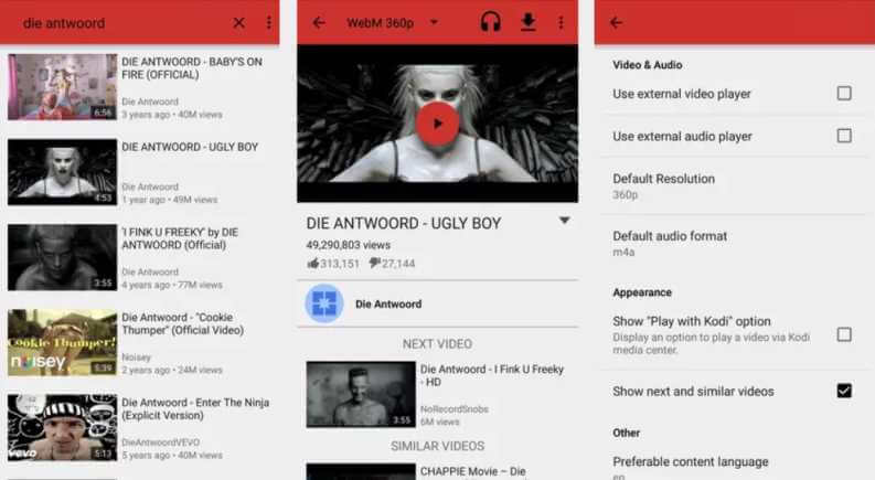 I migliori metodi per aggirare il controllo dell'età su YouTube: NewPipe