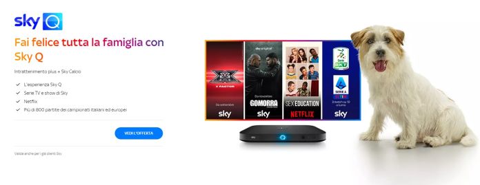 Avere Netflix Con Sky Q