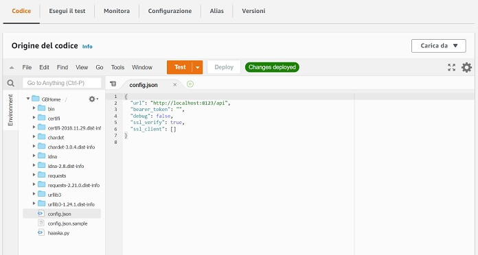 Codice Config Json Funzione Lambda