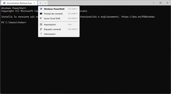 Informazioni Sistema Windows 11 Windows Terminal