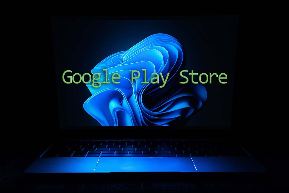 windows 11 google play store