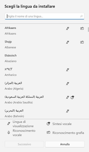 Scegli La Lingua Da Installare Windows 11