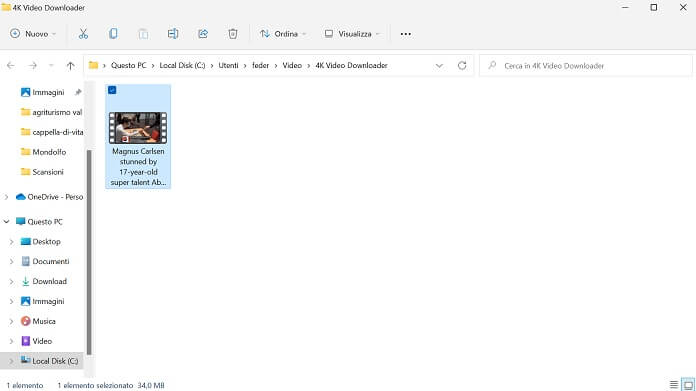 4k Video Downloader Cartella