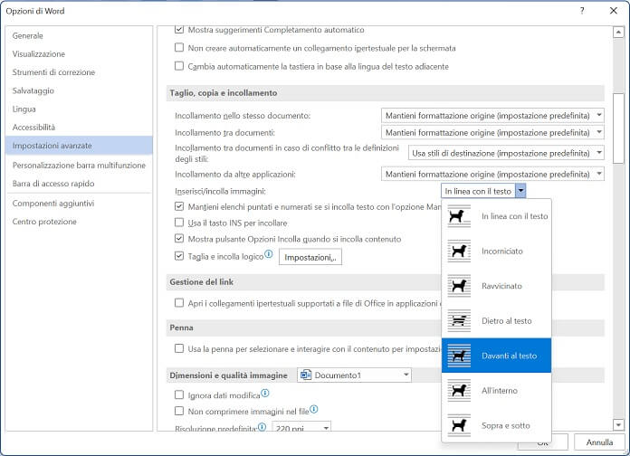 Opzioni Di Word Inserisci Incolla Immagini