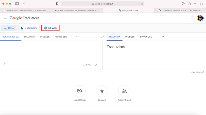 Google Traduttore Siti Web